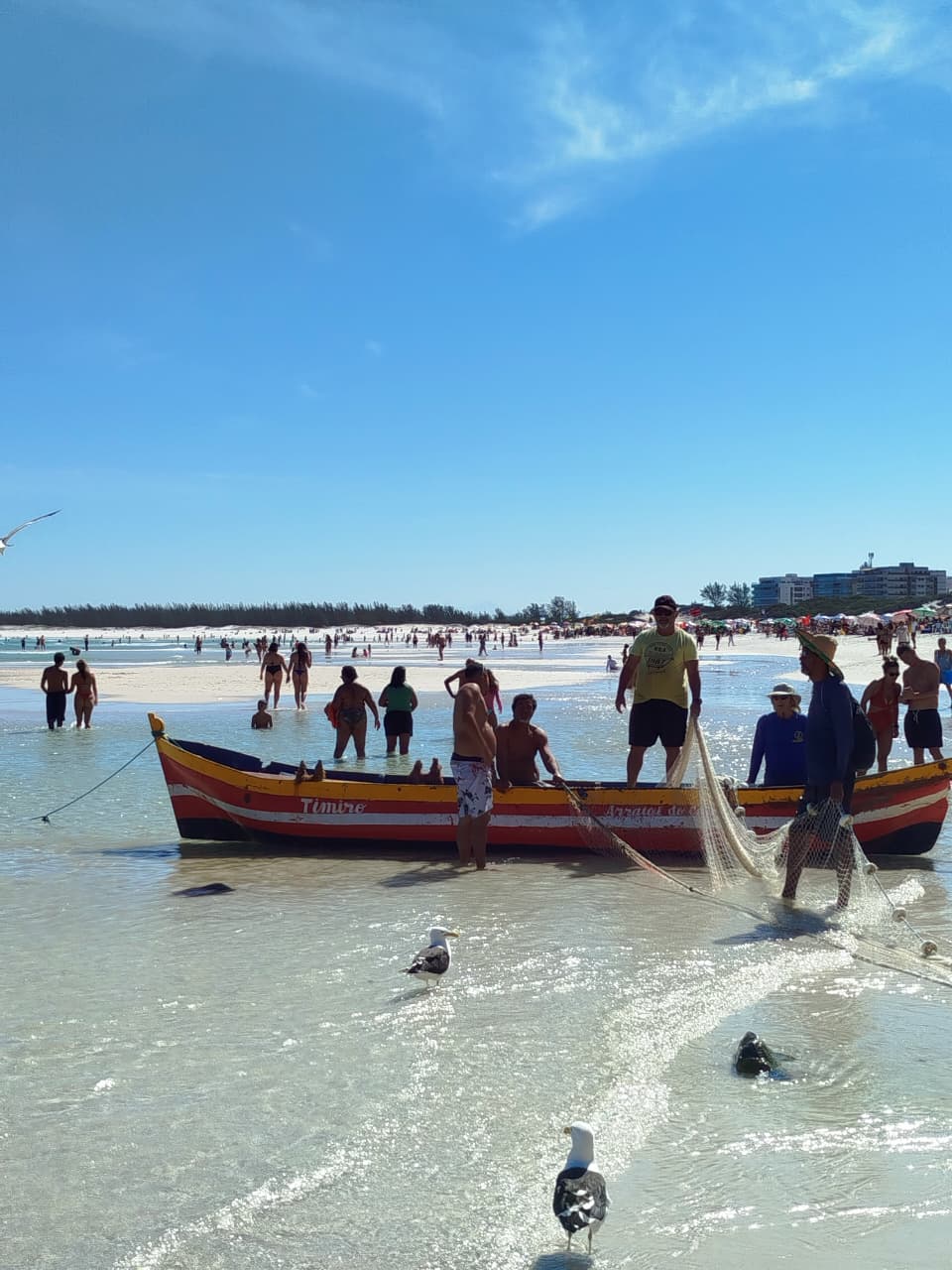 Pescadores artesanais trabalham com redes junto aos barcos na praia