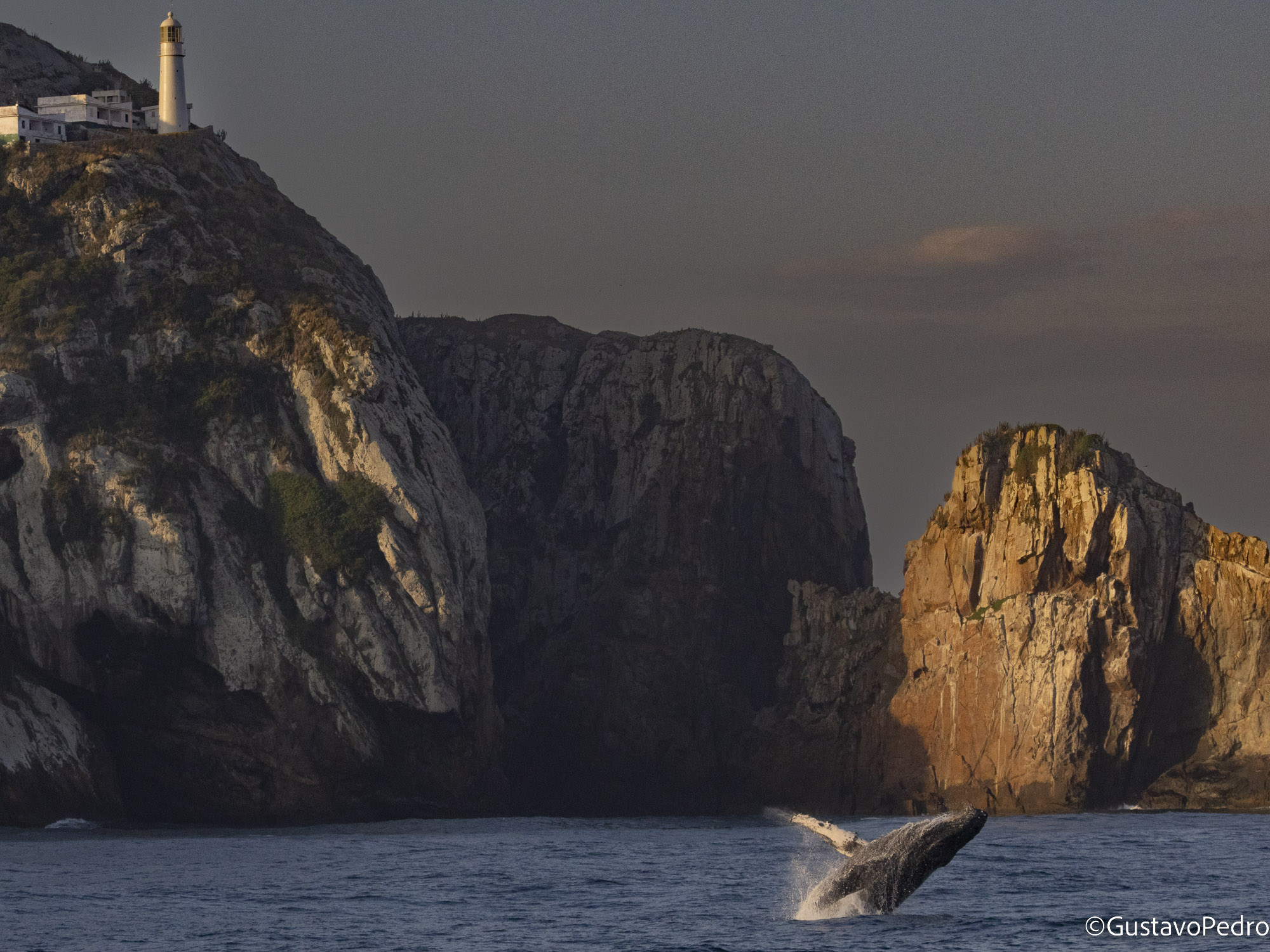 Cauda de baleia diante das formações rochosas de Arraial do Cabo